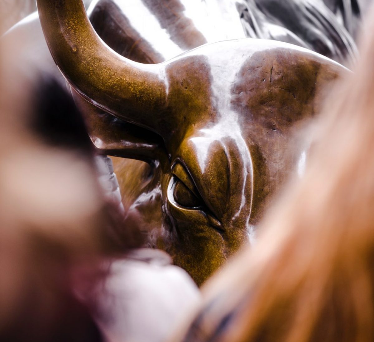 finance-bull2